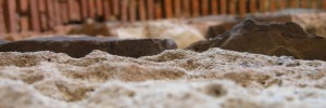 Mutuo Costruzione Casa